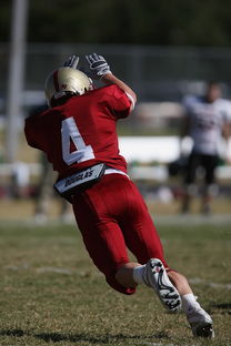 开云·体育官网APP下载-五大联赛争四阶段关键球员贡献值差异对比，五大联赛引援